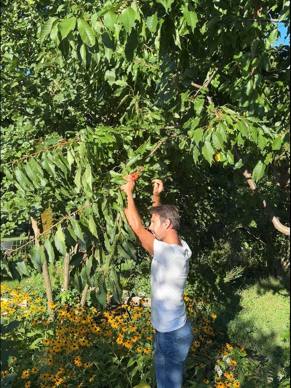 Thomas Bisson montre la taille d’un arbre fruitier pendant un conseil d’entretien
