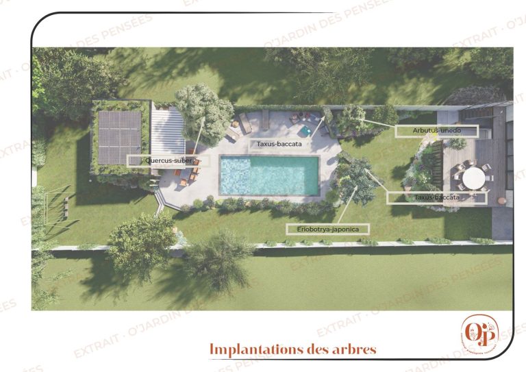 Plan d'implantation des arbres sur une vue 3D du jardin