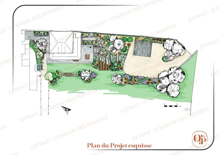 Plan esquisse d'un jardin près d'Annecy, dossier esquisse avec palette végétale