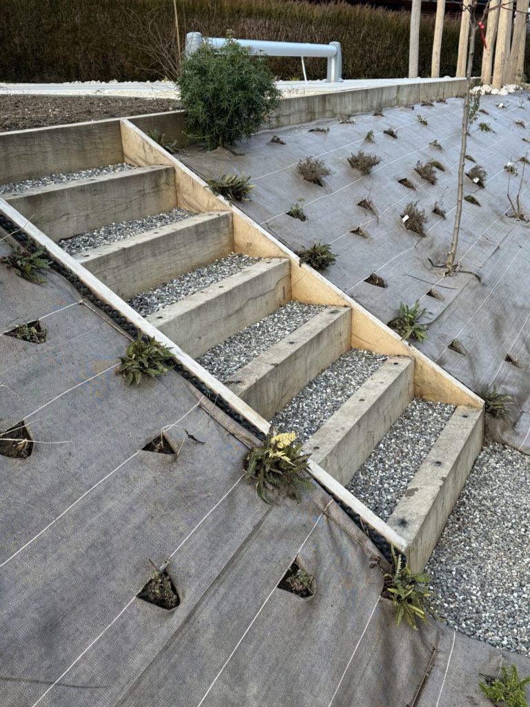 Fin de la réalisation de l’escalier en traverses de chêne dans le talus planté à Groisy