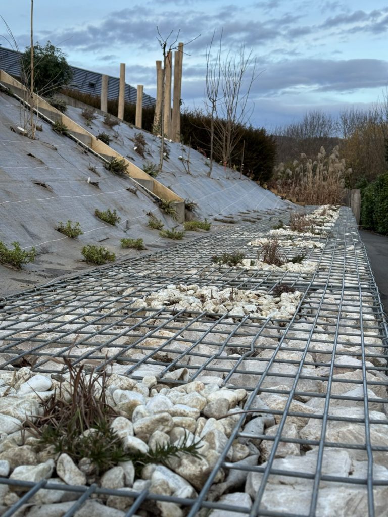 Fin de plantation du gabion en février à Groisy