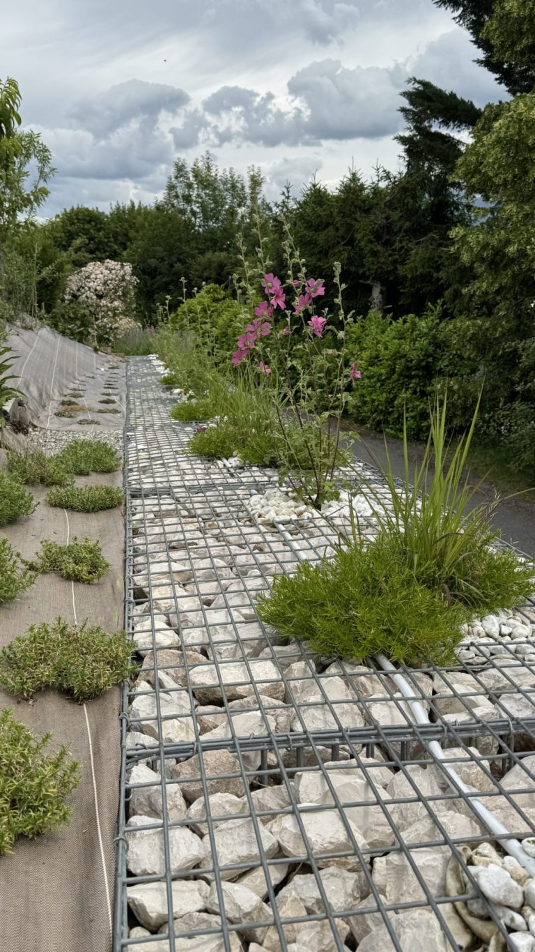 Jardin de Groisy en septembre : gabion végétalisé, talus planté et pelouse