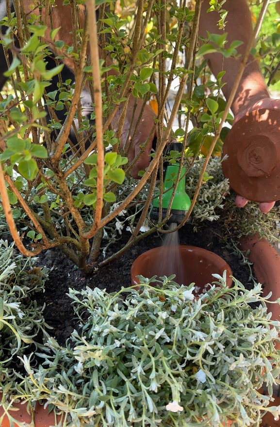 Arrosage des jardinières à Sevrier