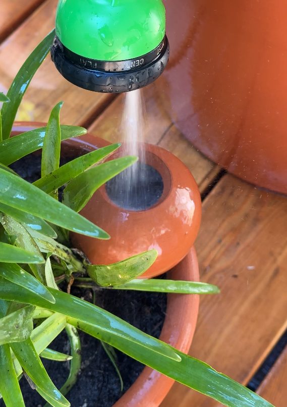Remplissage des ollas des jardinières à Sevrier