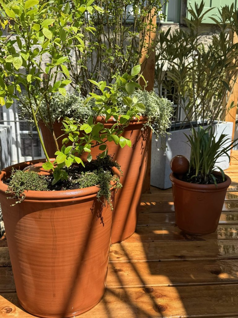 Fin de la plantation des jardinières à Sevrier