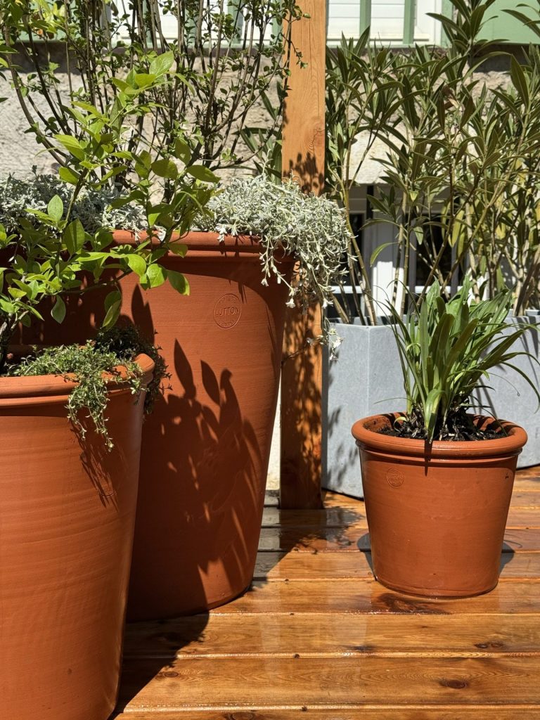 Jardinières en poterie Lutton plantées, à Sevrier