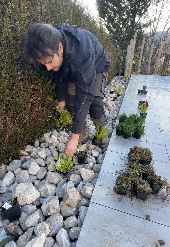Positionnement des vivaces dans le massif minéral à Groisy