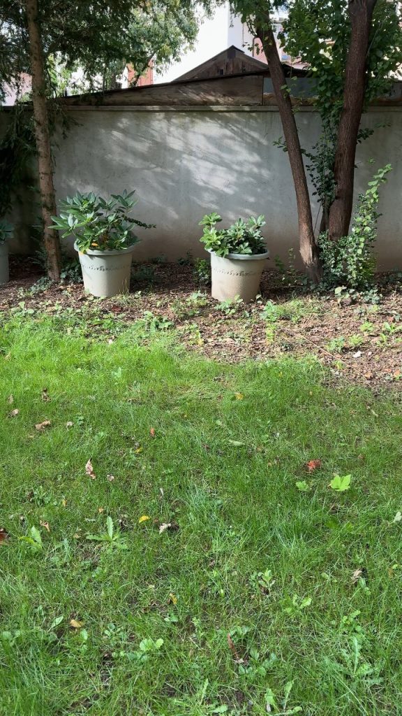 Vidéo : avant l’intervention à Annecy (74)