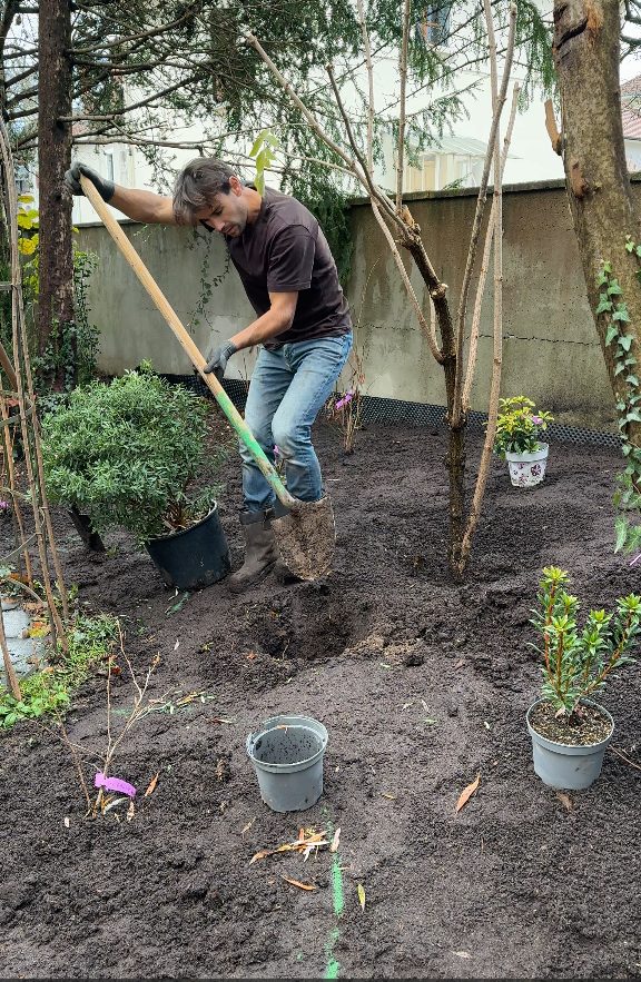 Plantation du massif de terre de bruyère à Annecy (74)