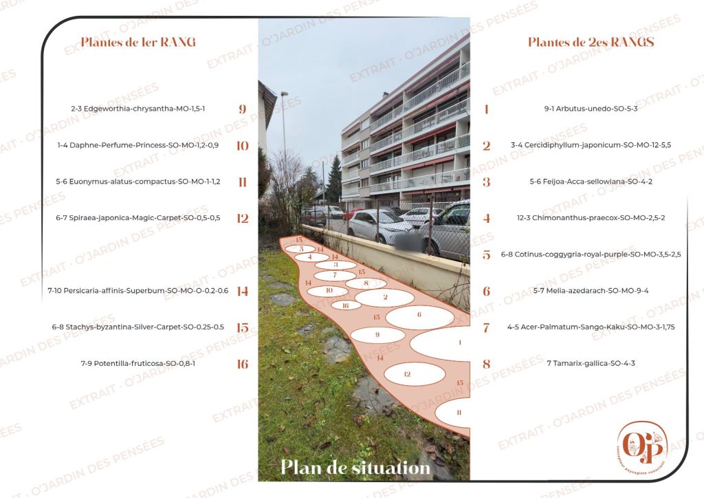 Plan de situation de la haie de grands sujets, des arbustes bas et des vivaces tapissantes, chaque plante numérotée, jardin à Annecy