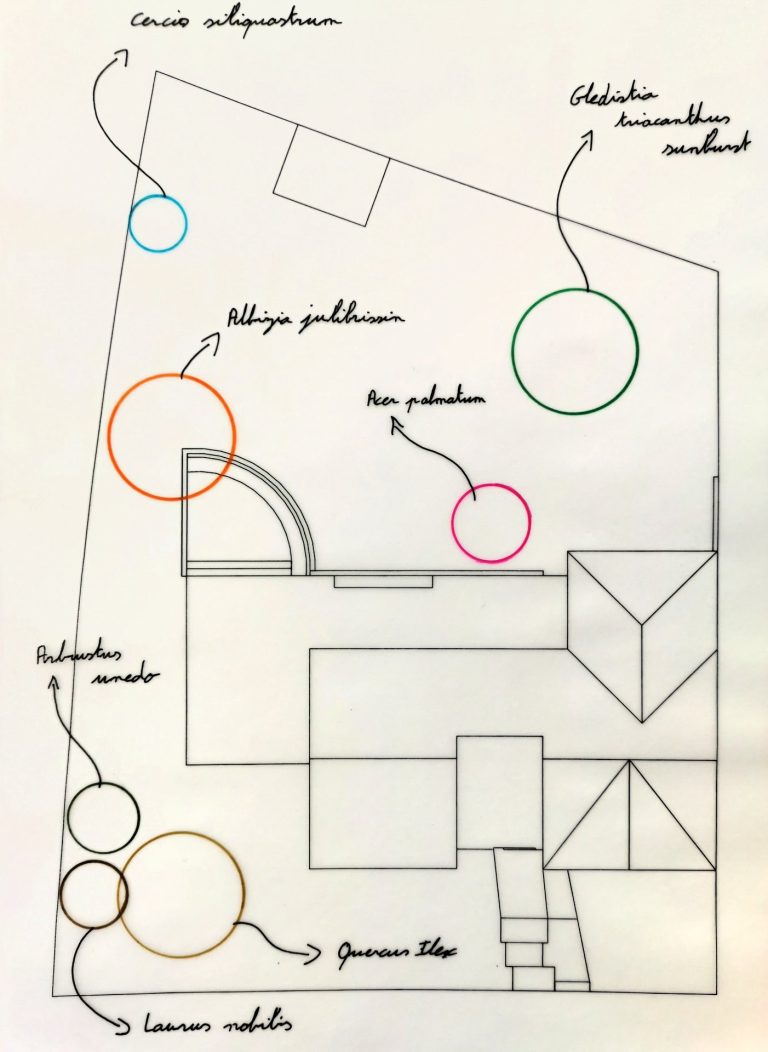 Plan d’implantation dessiné à main levée : emplacement des futurs arbres autour de la maison