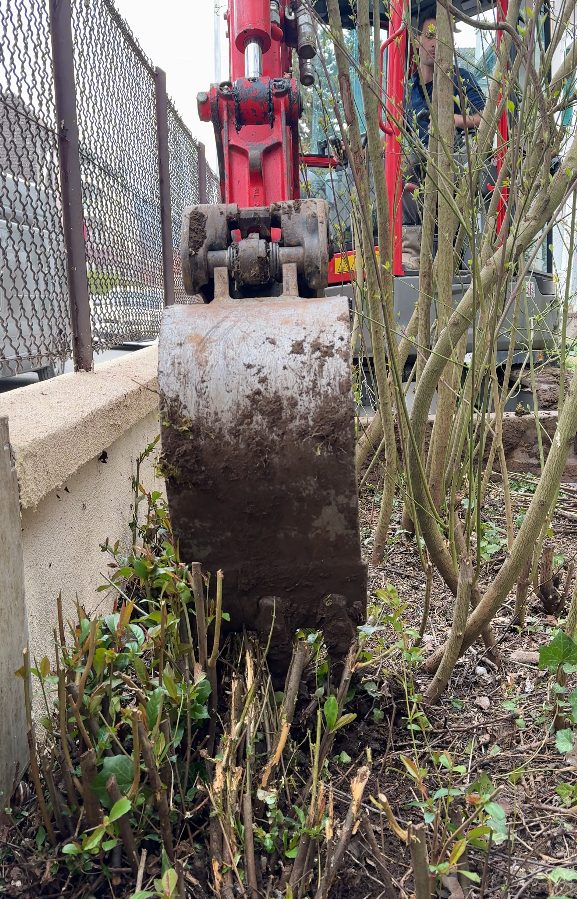 Arrachage d’une souche à la mini-pelle avant la plantation à Annecy (74)
