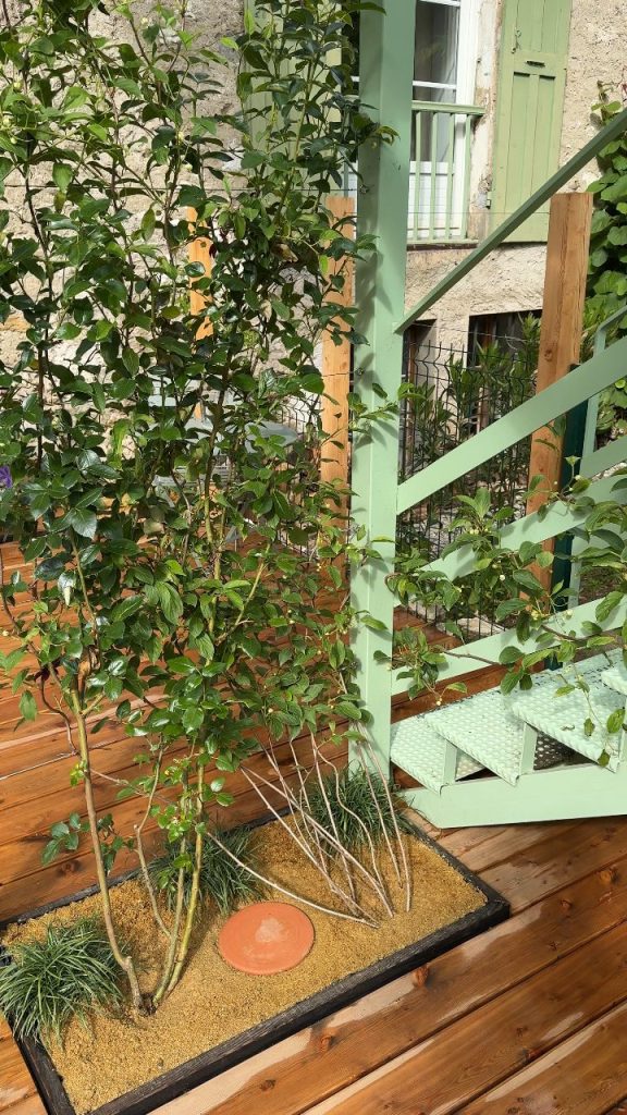 Vidéo : le massif de plantes grimpantes à Sevrier (74)