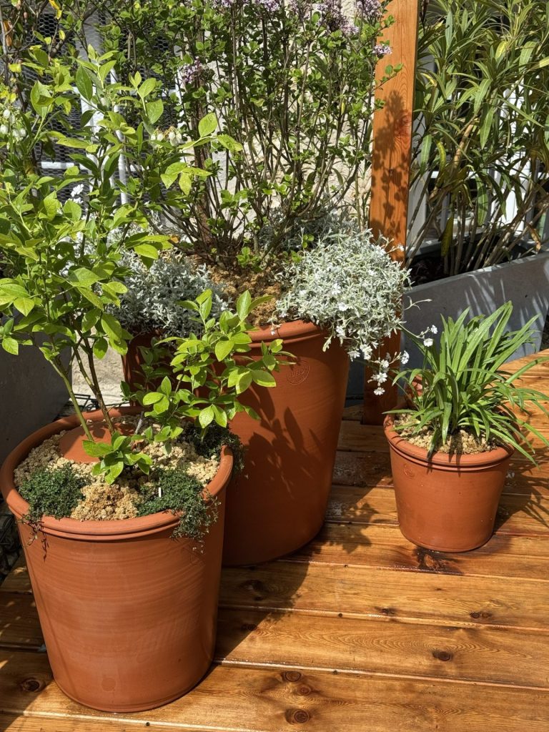 Végétalisation des jardinières à Sevrier