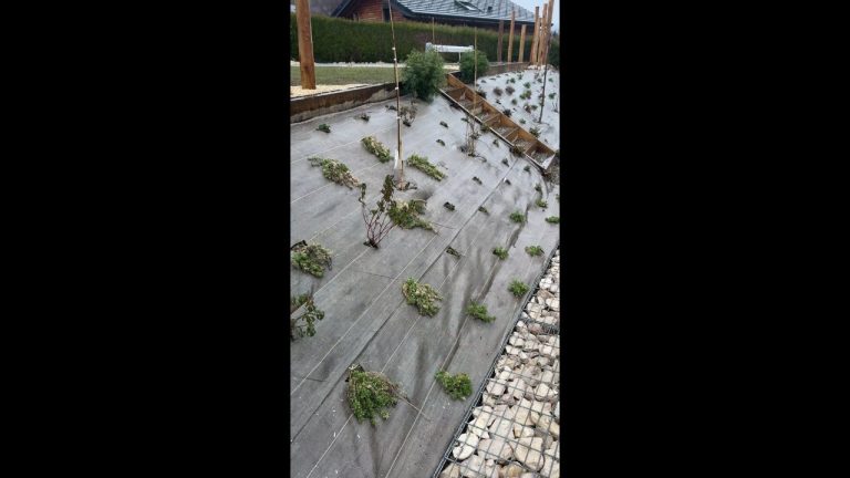 Vidéo : le talus planté à Groisy (74)