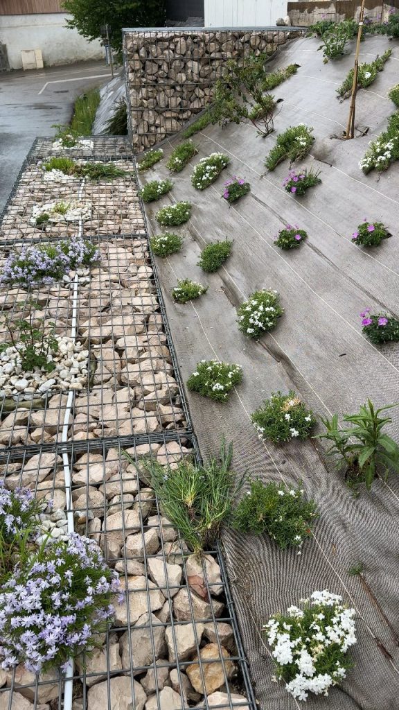 Vidéo : le talus planté, autre vue à Groisy (74)