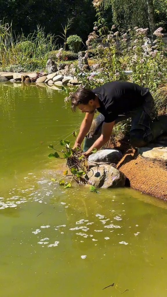 Vidéo : l’aménagement de la berge à Cruseilles (74)