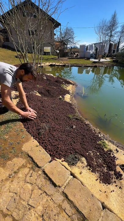 Vidéo : la plantation de la berge à Cruseilles (74)