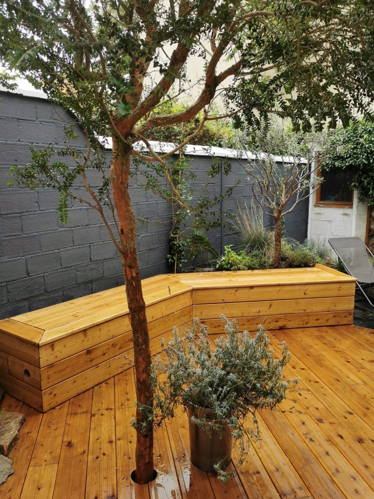 Un arbre inséré dans la terrasse en mélèze à Colombes (92)
