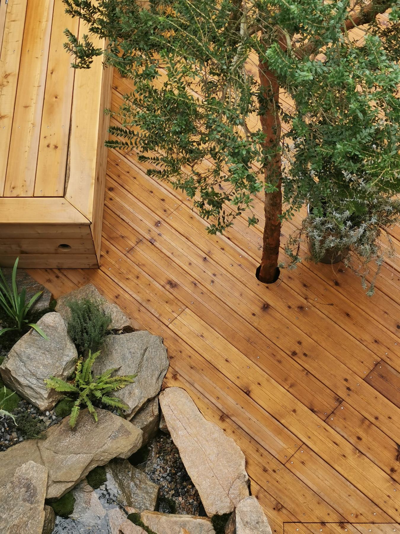 Terrasse en bois posée en diagonale autour d’un arbre, avec rocaille et bassin, à Colombes : création O’Jardin des Pensées